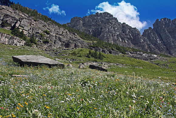 Highline Trail - Glacier National Park