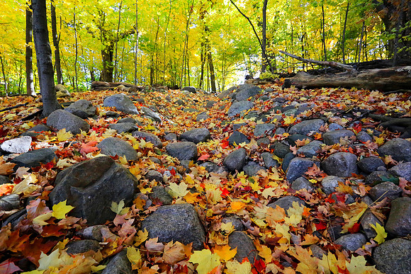 West Virginia