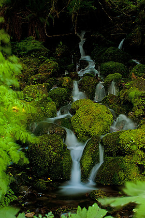 Olympic National park