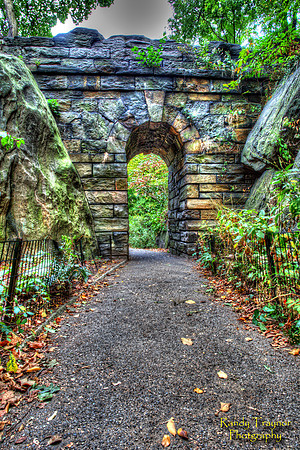 Central Park - NYC