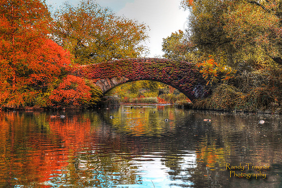 Central Park