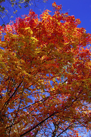 Minnesota