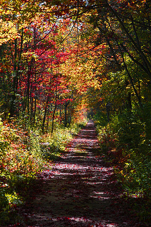 Minnesota