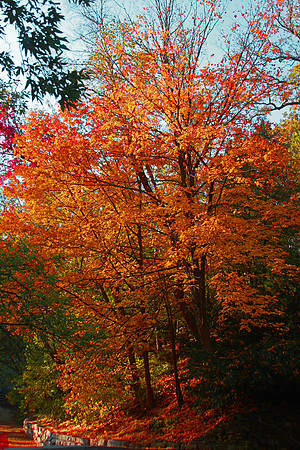 Ohio