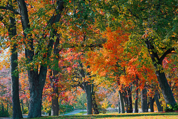 Minnesota