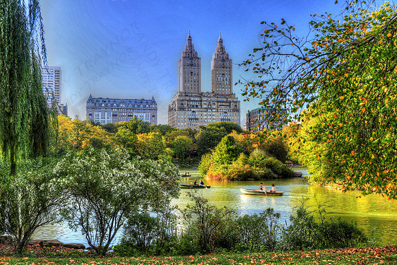 Central Park