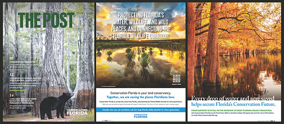 Conservation Florida - The Post Winter 2023