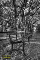 Central Park