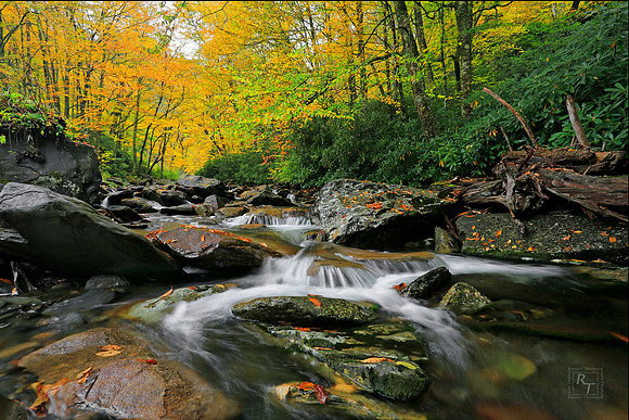 Smoky Mountain National Park