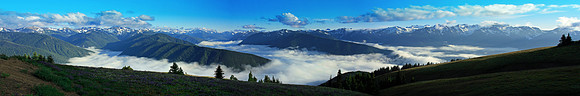 Hurricane Ridge Olympic National Park - *Contact for price