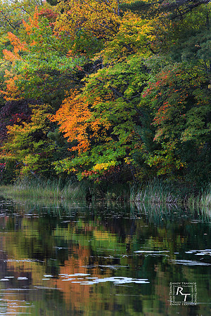 Fall - Minnesota