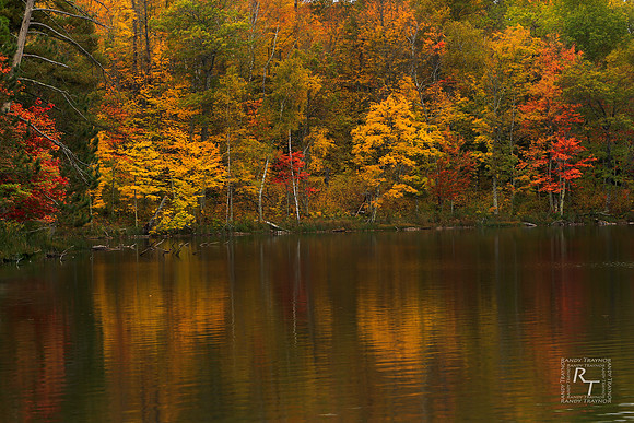 Fall - Minnesota