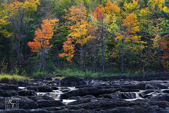 Fall - Minnesota