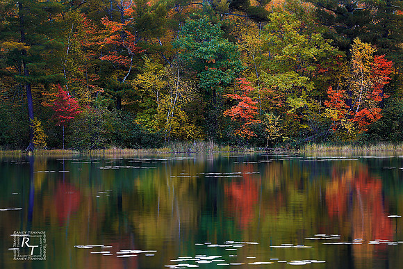 Fall - Minnesota