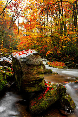 Smoky Mountain NP