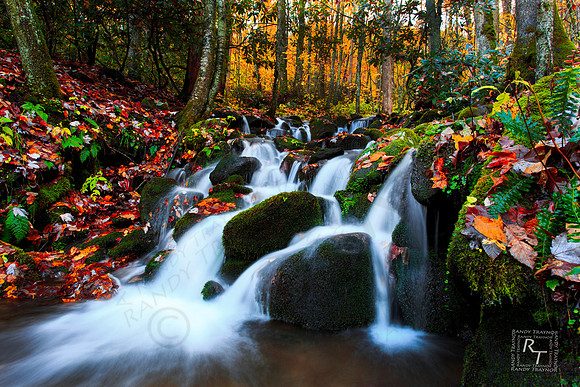 Smoky Mountain NP