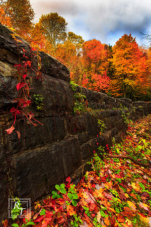 Smoky Mountain NP