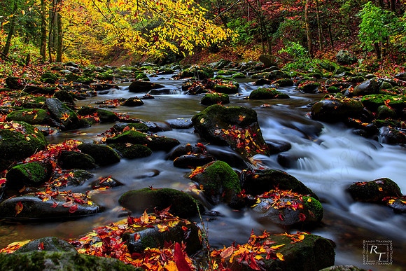 Smoky Mountain NP