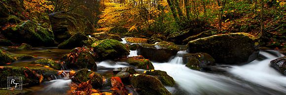 Smoky Mountain NP