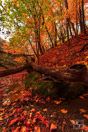 West Virginia