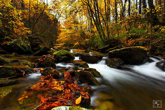 Smoky Mountain NP