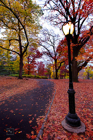 Central Park