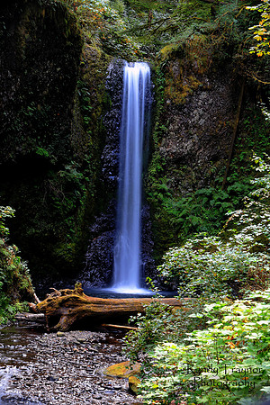 Wiesendanger Falls, Oregon