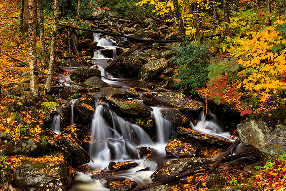 Smoky Mountain NP