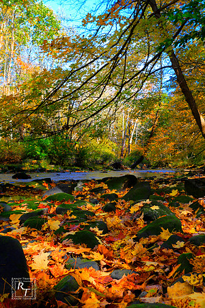 Youngstown, Ohio