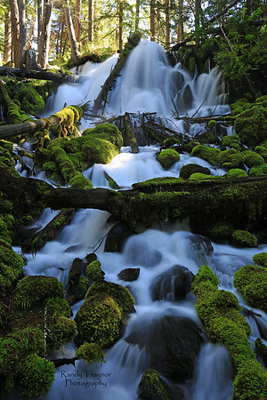 Clearwater Falls, Oregon