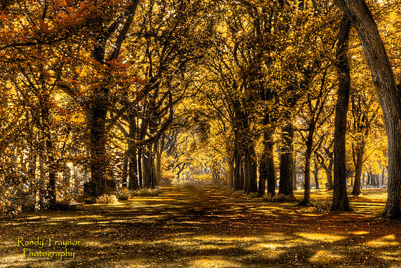 Central Park