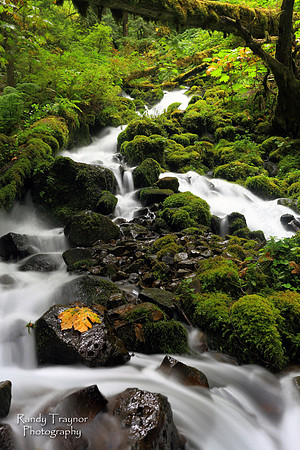 Columbia River Gorge, Oregon