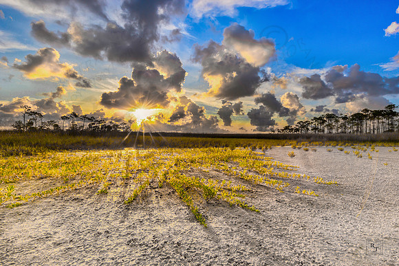 St. Marks National Wildlife Refuge