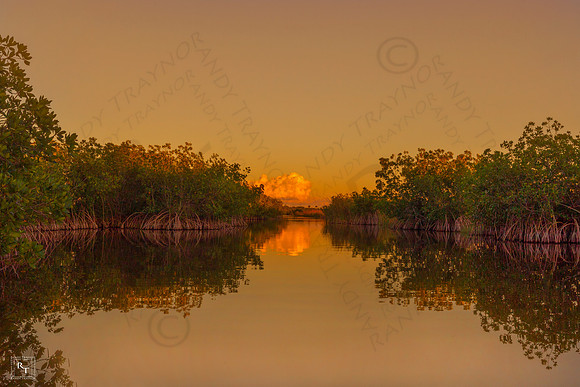Ten Thousand Islands National Wildlife Refuge, Florida