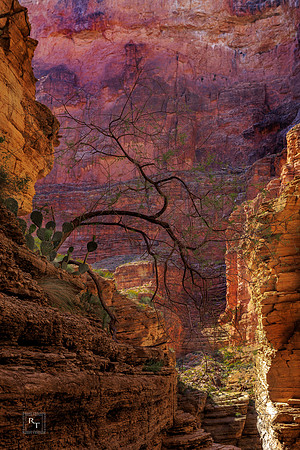 Matkatamiba Canyon -Grand Canyon NP