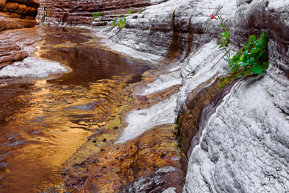 Matkatamiba Canyon -Grand Canyon NP