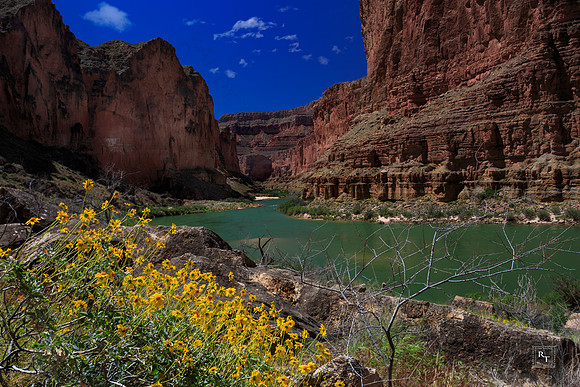 Willie Taylor Camp - Grand Canyon NP