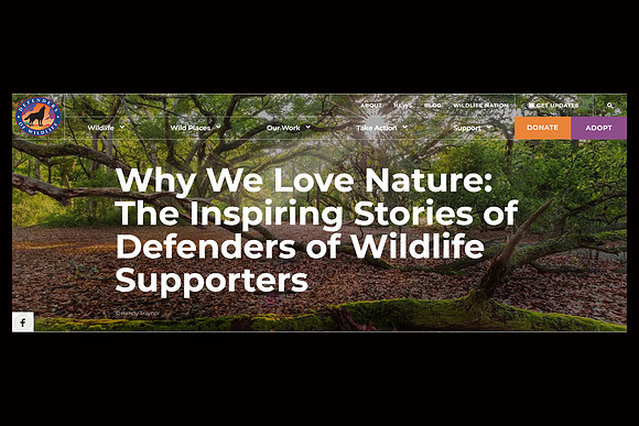 Defenders of Wildlife - June 2022 (website/blog)