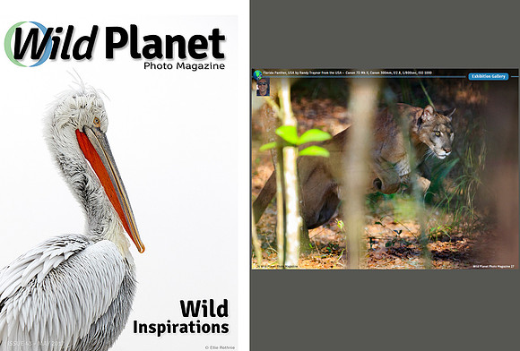 Wild Planet Magazine - May 2017