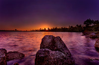Pine Glades Lake - Everglades NP
