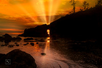 2nd Beach - Olympic National Park, Washington