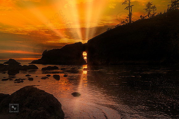 2nd Beach - Olympic National Park, Washington