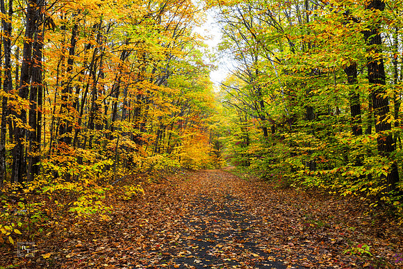 Maine