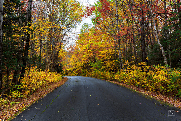 New Hampshire