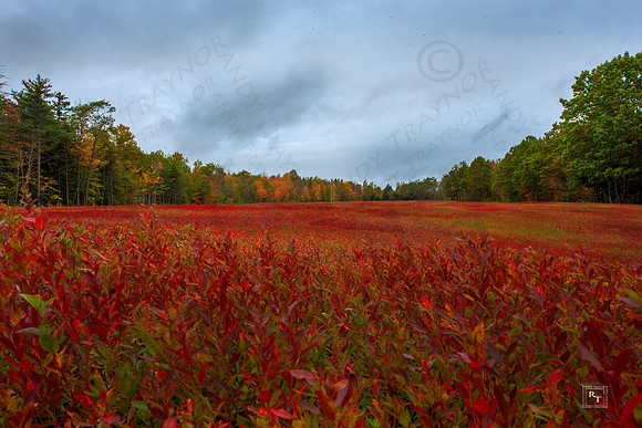 Maine