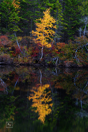 New Hampshire