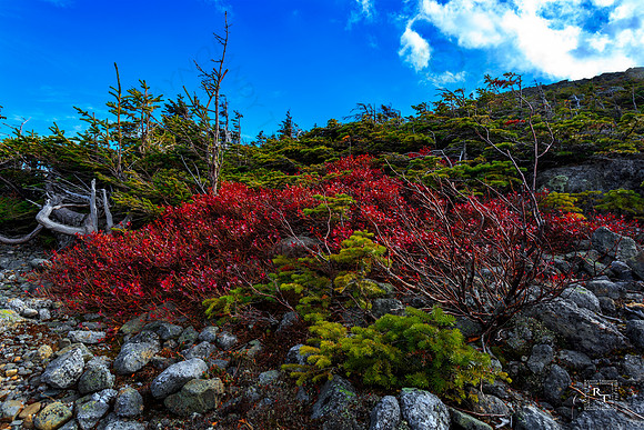 Mt. Washington, NH