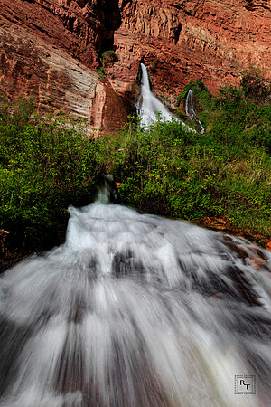 Vasey's Paradise - Grand Canyon NP