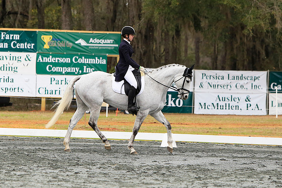 Taylor Dileo