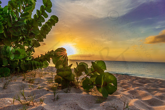 Antigua